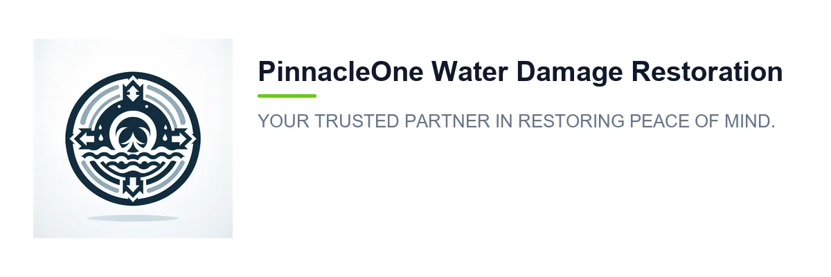 PinnacleOne Water Damage Restoration